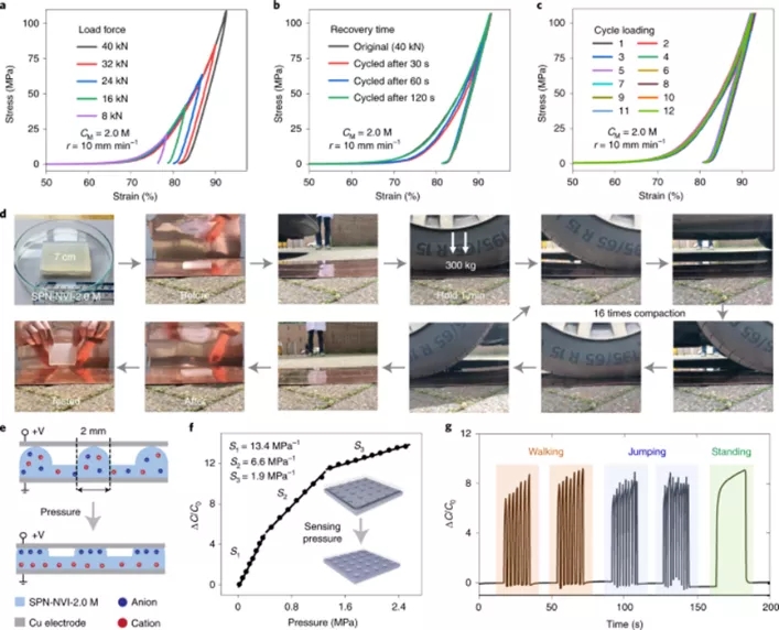 图4 SPN的快速自恢复演示及其应用