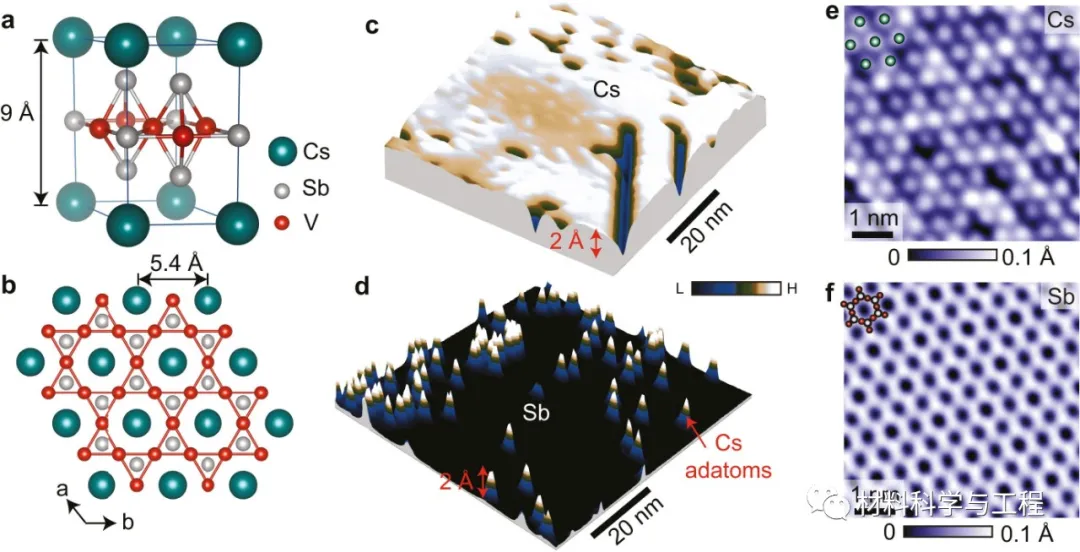 图1 表面表征 图1 表面表征