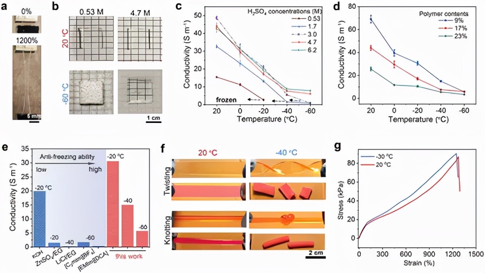 图2 PAAm/H2SO4 水凝胶的物理特性 图2 PAAm/H2SO4 水凝胶的物理特性