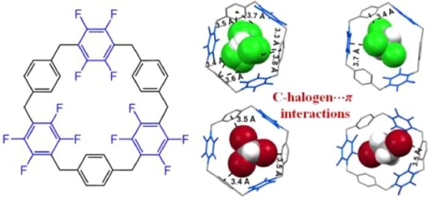 花环芳烃对多卤代烷烃的选择性吸附 花环芳烃对多卤代烷烃的选择性吸附