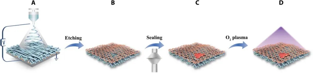 静电纺出单层石墨烯膜用于纳滤 静电纺出单层石墨烯膜用于纳滤