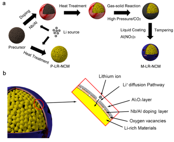 图3 富锂锰基正极材料的复合表面改性示意图