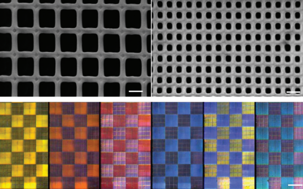 微观气体传感器的SEM成像