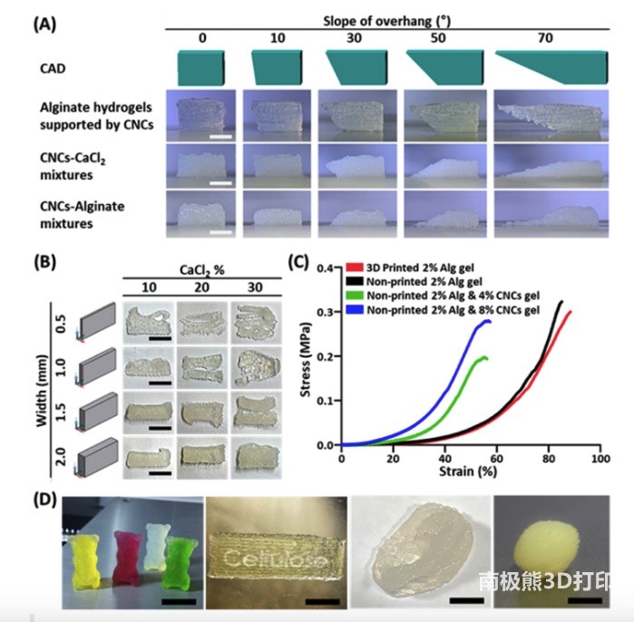 图2 3D打印海藻酸盐水凝胶的表征 图2 3D打印海藻酸盐水凝胶的表征