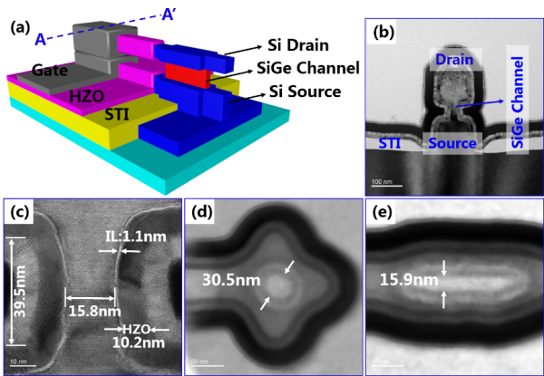 1638539819565089.png 微电子所在铁电垂直环栅纳米器件研究方面取得进展.png