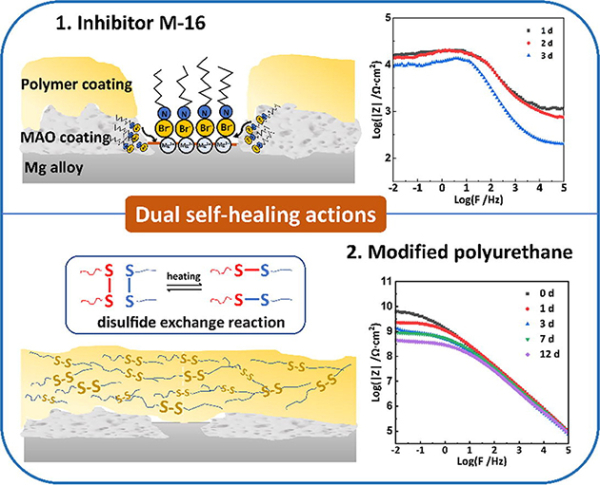 图2.复合涂层双重自修复示意图 图2.复合涂层双重自修复示意图