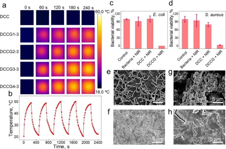 图 6. 功率密度为 2 W cm−2 在 808 nm 激光照射下的 DCCG 复合水凝胶的热红外图像 图 6. 功率密度为 2 W cm−2 在 808 nm 激光照射下的 DCCG 复合水凝胶的热红外图像