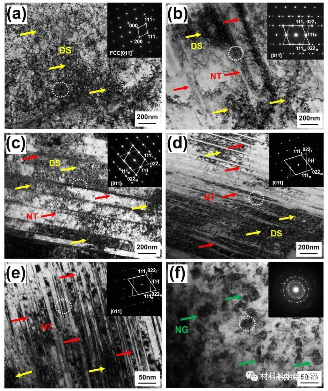 图4不同时间DCT处理后样品内部的透射电子显微镜图像