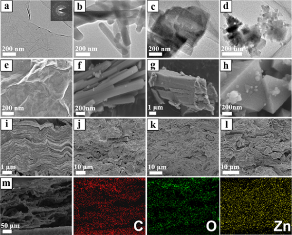 图2.结构表征图