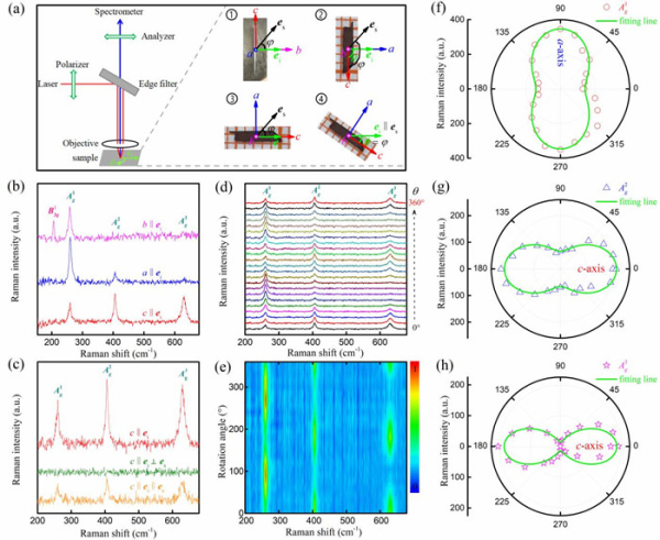 图2 MoAlB单晶的声子振动三维各向异性 图2 MoAlB单晶的声子振动三维各向异性
