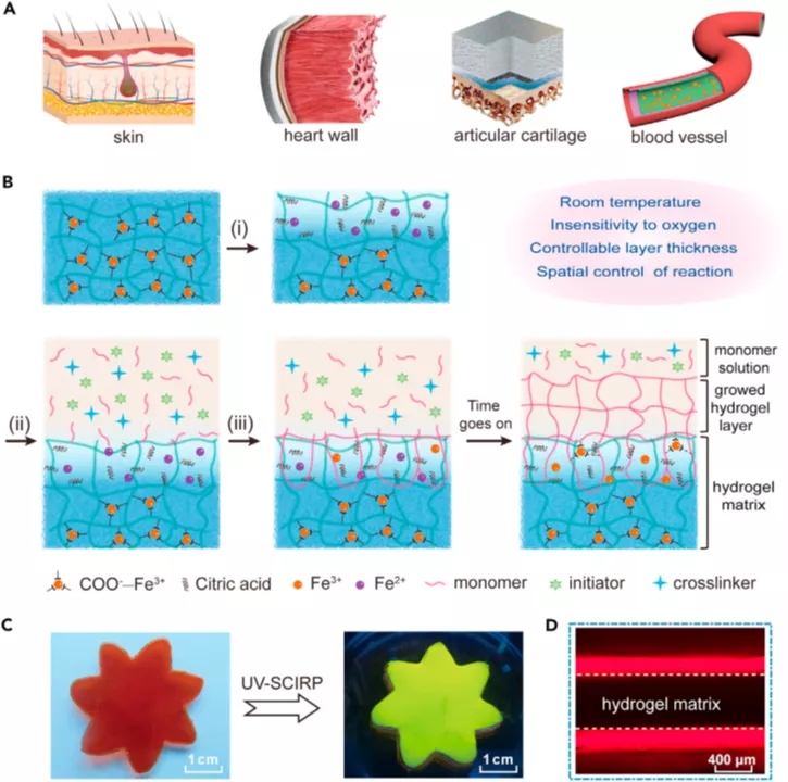 图1 UV-SCIRP方法的概念显示和原理图