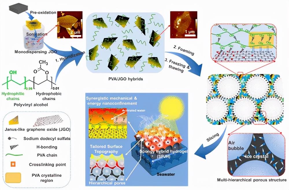 基于海绵状 PVA/Janus 类氧化石墨烯混合水凝胶 (SPJH)的太阳能蒸汽生成 (SVG) 示意图