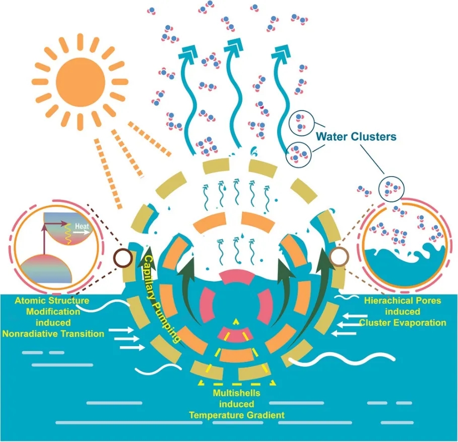 图1通过无定形Ta2O5/C HoMS高效产生太阳能蒸汽的示意图 图1通过无定形Ta2O5/C HoMS高效产生太阳能蒸汽的示意图