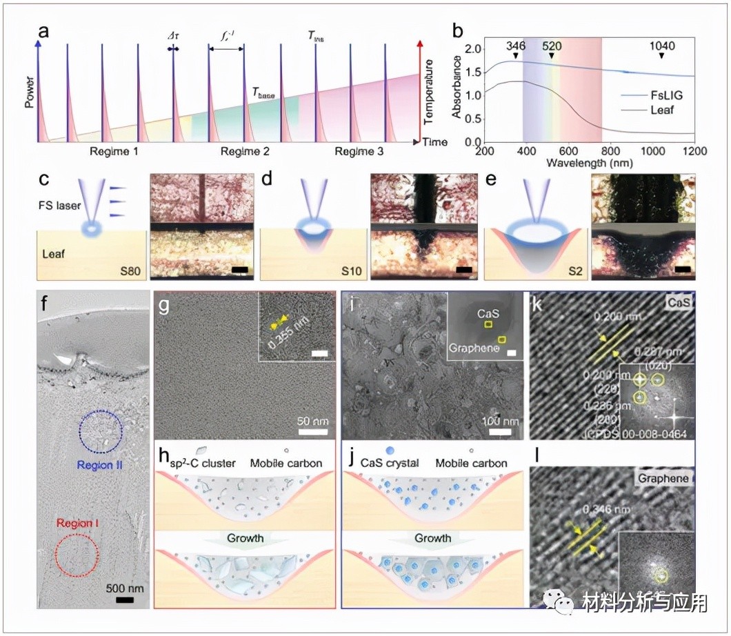 图3、FsLIG形成的演变和机制