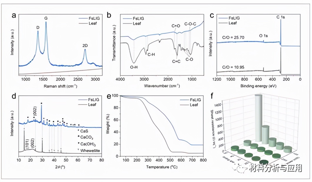 图2、叶子和FsLIG的表征
