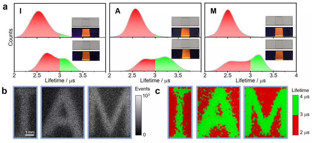 图5 a) 肉眼无法观察电刺激下发光寿命的变化 b)时间门成像技术读取信息c)寿命成像技术读取信息 图5 a) 肉眼无法观察电刺激下发光寿命的变化 b)时间门成像技术读取信息c)寿命成像技术读取信息