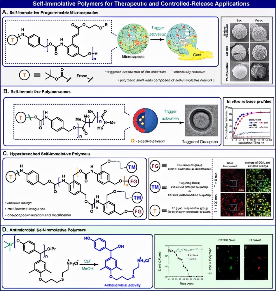 图 4. 自分解聚合物在治疗科学和控释中的应用 图 4. 自分解聚合物在治疗科学和控释中的应用