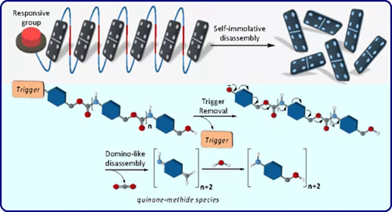 图 1. 自分解聚合物:历史观点、分子结构、分解机制和应用 图 1. 自分解聚合物:历史观点、分子结构、分解机制和应用