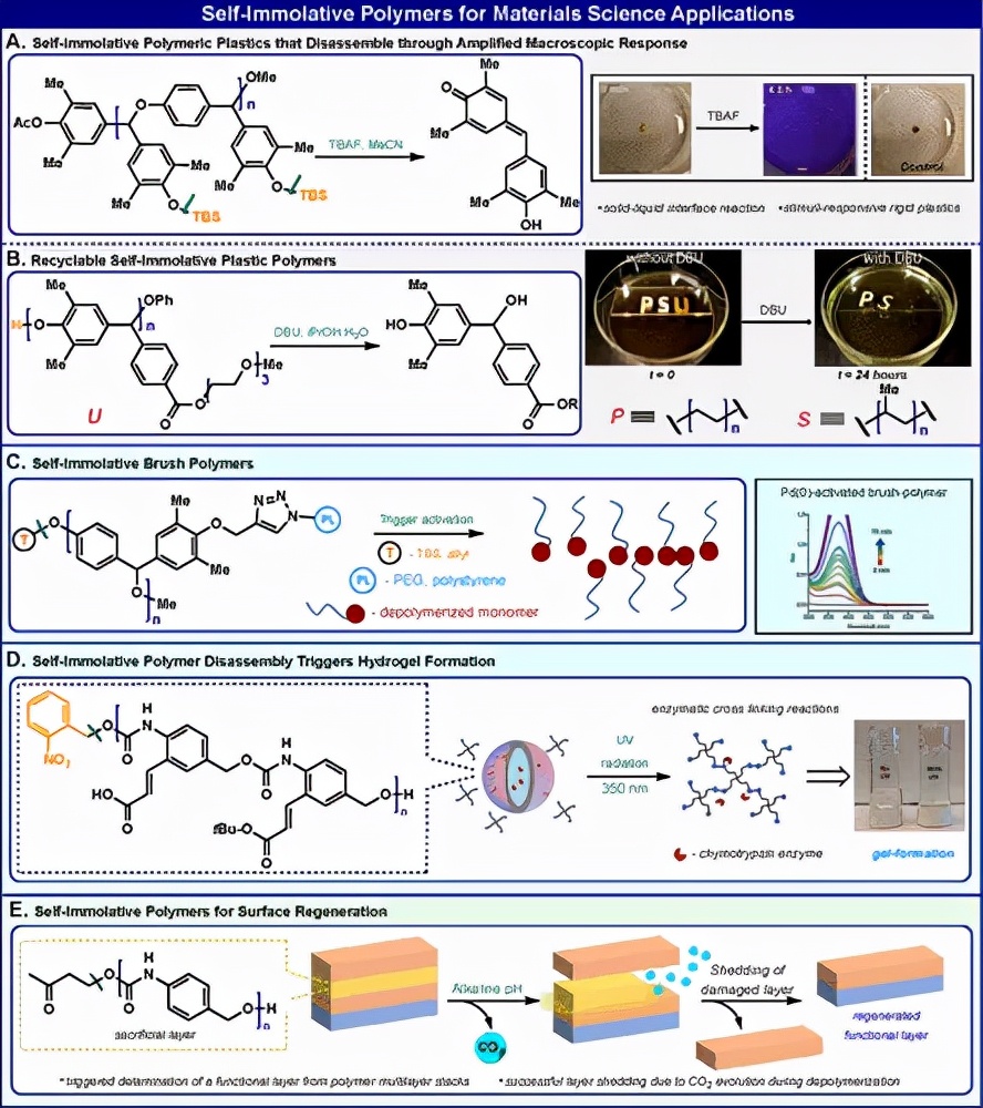 图 3. 自分解聚合物在材料科学中的应用示例 图 3. 自分解聚合物在材料科学中的应用示例
