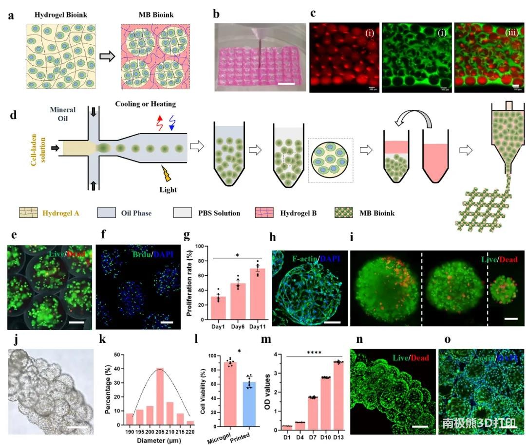 图1 载细胞MB生物墨水的制备与3D打印 图1 载细胞MB生物墨水的制备与3D打印