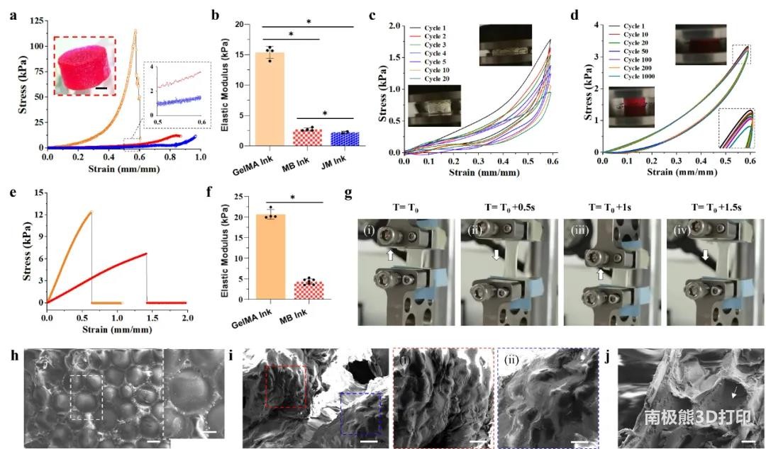 图4 MB生物墨水打印结构的力学特性 图4 MB生物墨水打印结构的力学特性