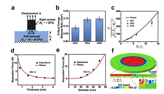 图4 含有水凝胶界面的打印过程的力学建模和分析