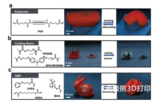 图5 与水凝胶界面兼容的多样性树脂打印样品