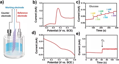 图 3. 生物电极的电化学性能