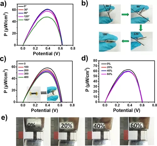 图 5. BFC 的机械柔韧性和拉伸性