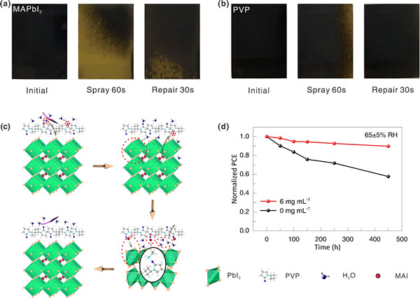 合肥研究院等开发出可“自愈”的钙钛矿太阳电池