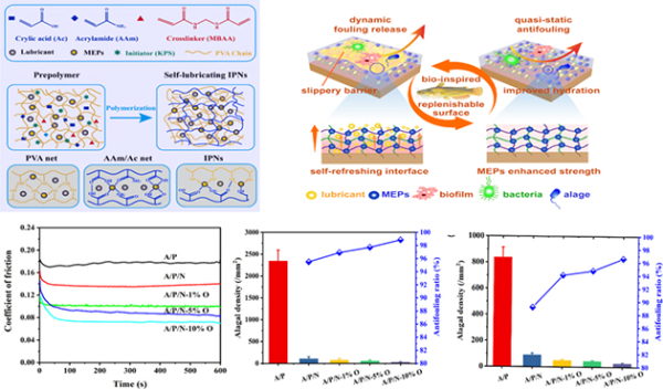图1 互穿聚合物网络基海洋防护界面构筑及防护性能 图1 互穿聚合物网络基海洋防护界面构筑及防护性能