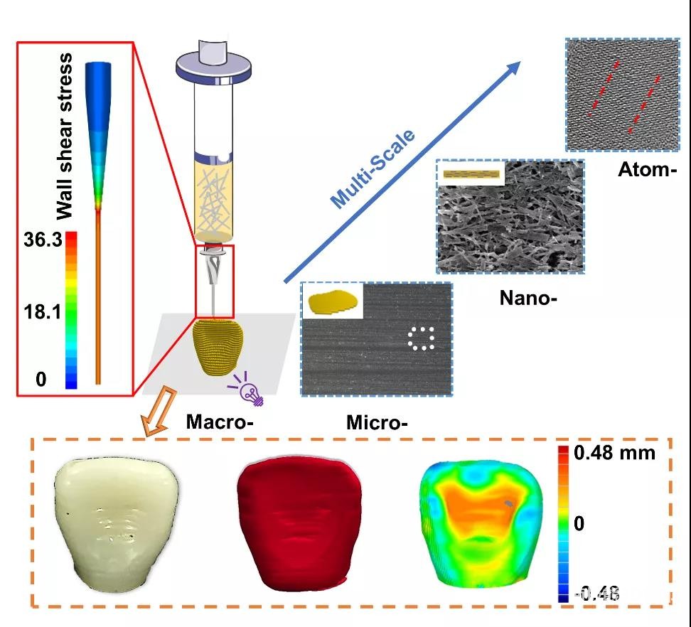 图1. 多尺度、高精度牙冠的3D打印 图1. 多尺度、高精度牙冠的3D打印