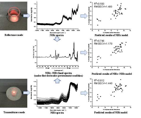 基于近红外漫反射-漫透射融合的米粉成分检测方法的示意图