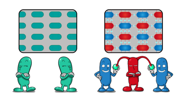 LAMBA材料的局部示意图