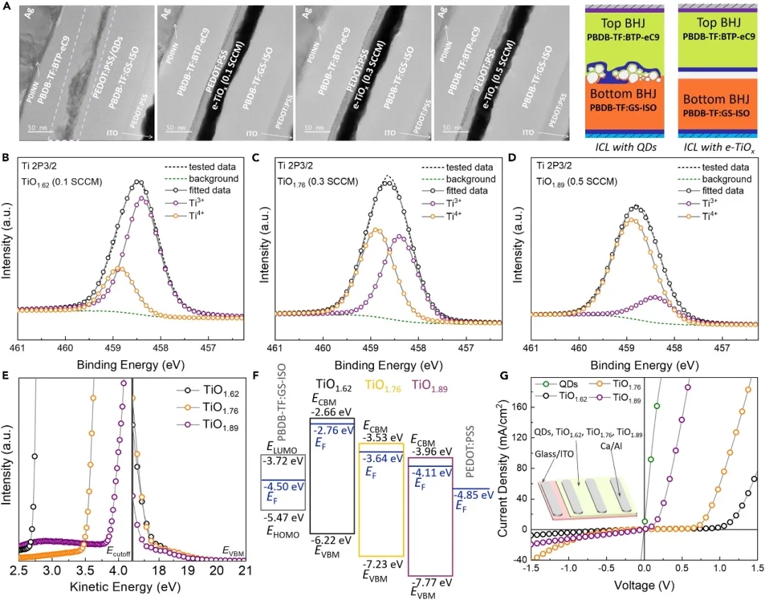 图2. 沉积物的组成、结构和形态 图2. 沉积物的组成、结构和形态