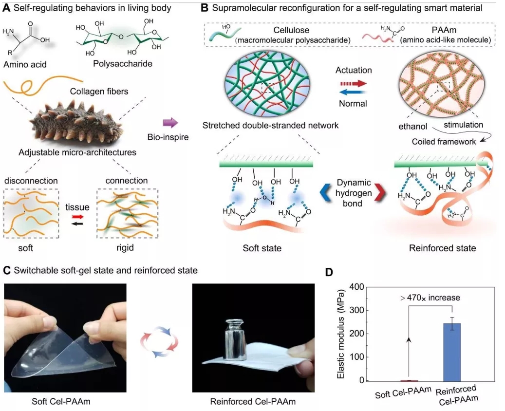 图1仿生自调节智能材料的设计 图1仿生自调节智能材料的设计
