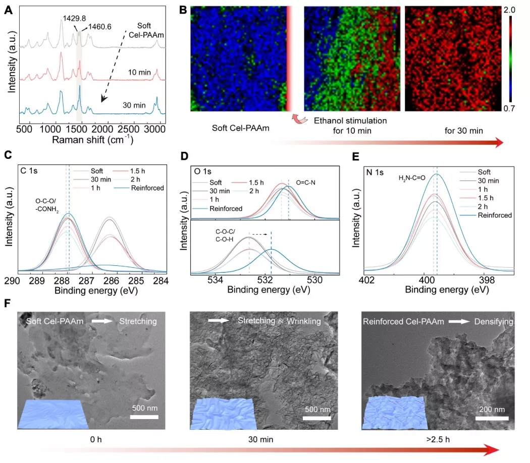 图3乙醇刺激下Cel-PAAm结构演化研究 图3乙醇刺激下Cel-PAAm结构演化研究