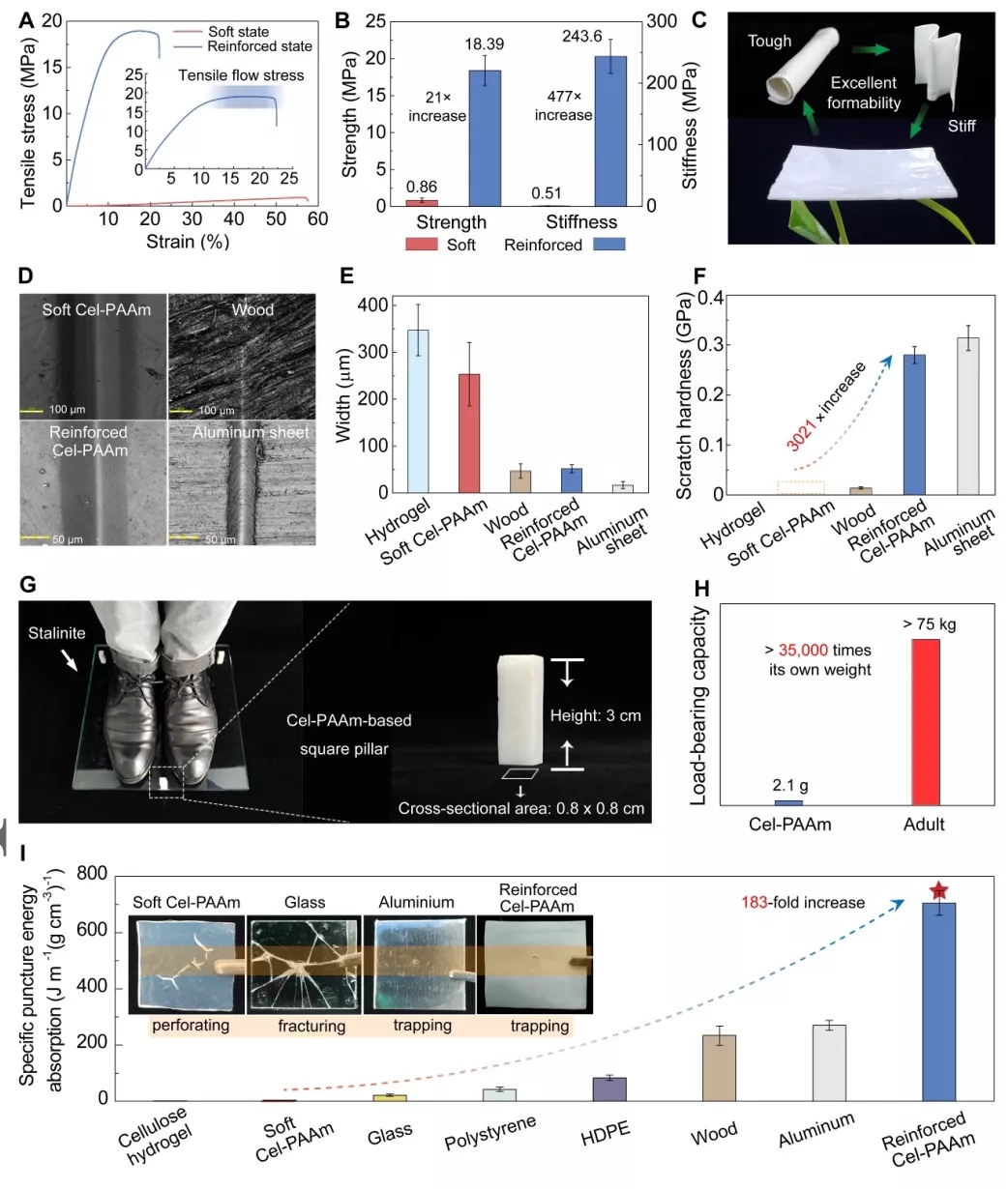 图4 Cel-PAAm在两种状态下的力学性能 图4 Cel-PAAm在两种状态下的力学性能