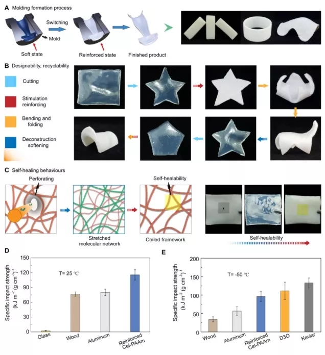 图5 Cel-PAAm的可设计性、可回收性、自愈性和优异的抗穿刺性 图5 Cel-PAAm的可设计性、可回收性、自愈性和优异的抗穿刺性