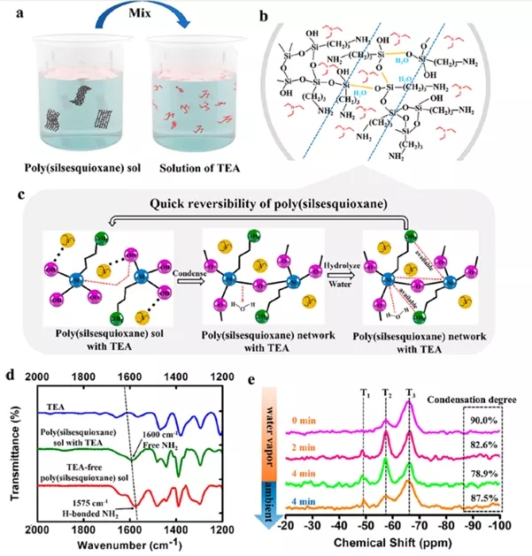 图1 在三乙胺存在下,聚倍半硅氧烷中Si-O-Si的可逆键合 图1 在三乙胺存在下,聚倍半硅氧烷中Si-O-Si的可逆键合