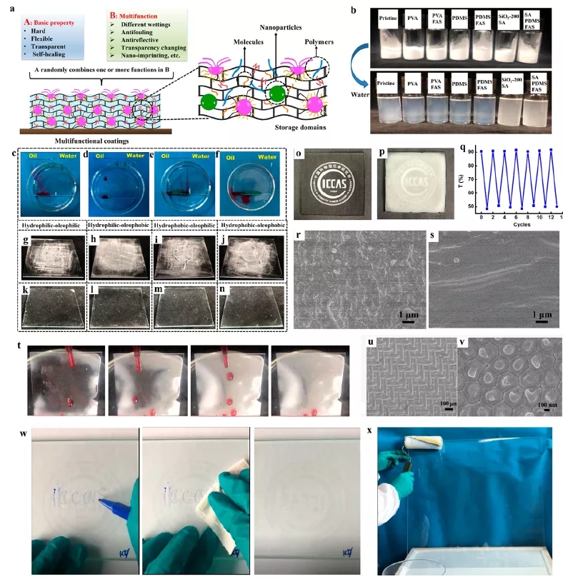 图3 多功能涂层的制备及应用 图3 多功能涂层的制备及应用