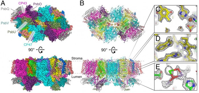 科学家公布关键酶的“蓝图” 或包含新合成太阳能燃料催化剂的设计原则 科学家公布关键酶的“蓝图” 或包含新合成太阳能燃料催化剂的设计原则