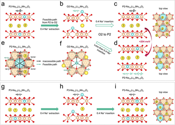 图4 钠离子脱嵌过程中的拓扑保护机制