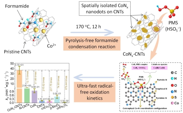 城市环境所新型量子点催化剂介导的非自由基氧化过程研究取得进展 城市环境所新型量子点催化剂介导的非自由基氧化过程研究取得进展