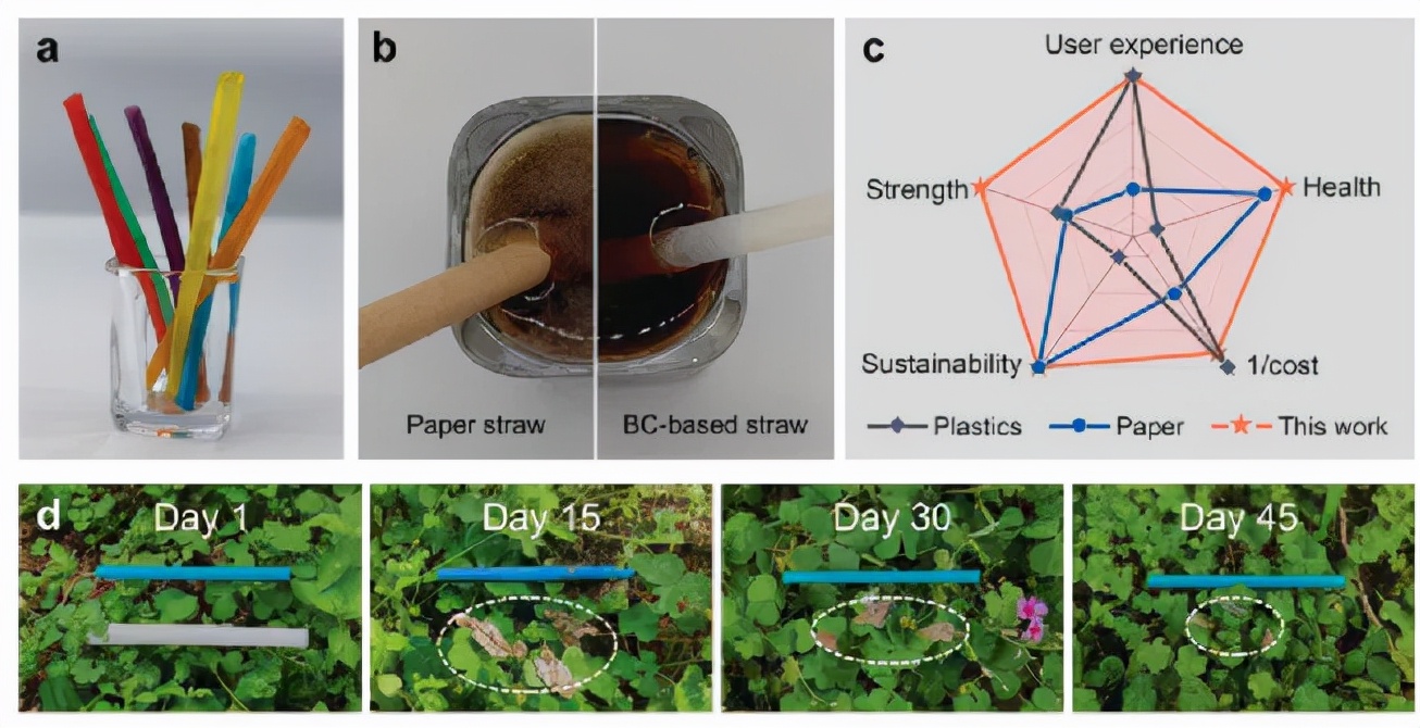 图5 不同吸管的综合性能评价 图5 不同吸管的综合性能评价
