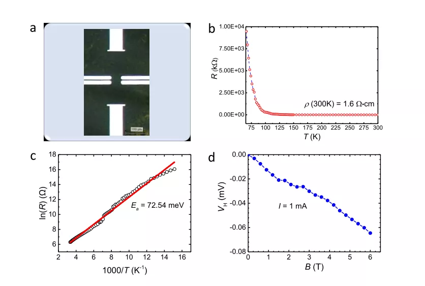 图4 PDI铁磁体的半导体性能