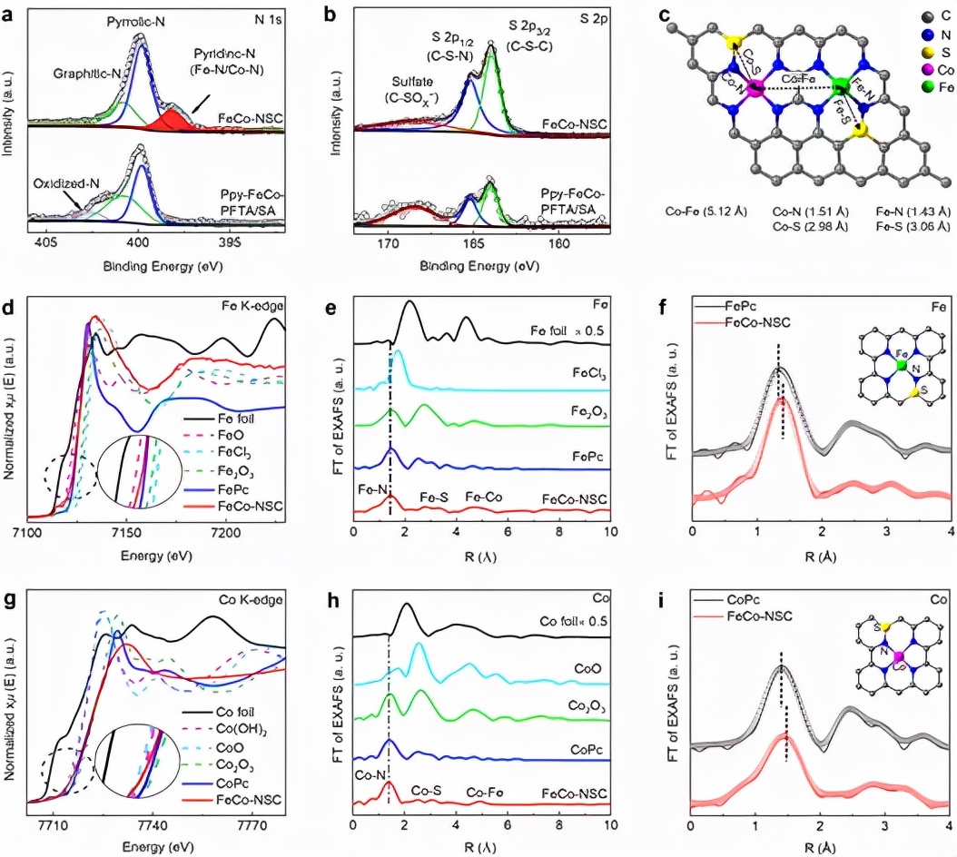 图2. FeCo-NSC材料的结构表征
