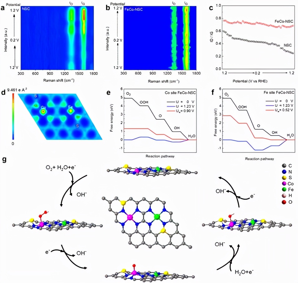 图4. FeCo-NSC材料的机理研究