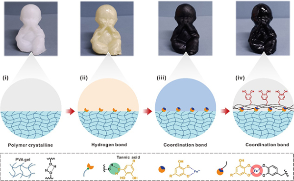 图1.黏附水凝胶的制备流程及机理 图1.黏附水凝胶的制备流程及机理
