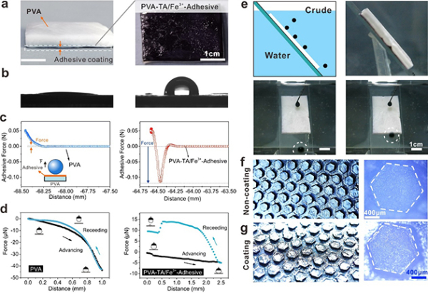 图3.水凝胶的非对称功能改性 图3.水凝胶的非对称功能改性